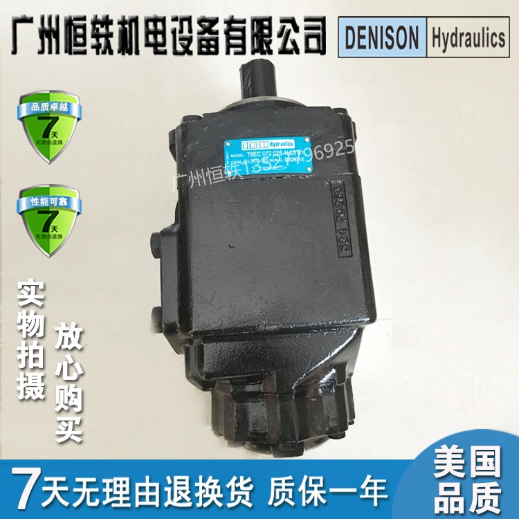 美国 DENISON/丹尼逊 T6C/T6D/T6E/T6CC/T6CCW/T6DC/T6EC