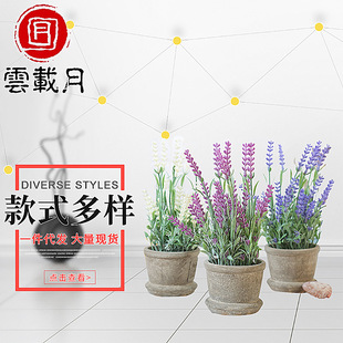 ���R�d�������ֲ���辰����С�����k�����b�ֲ��ٻ��辰����