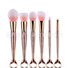 Golden brush contains rose, new collection, 6 pieces