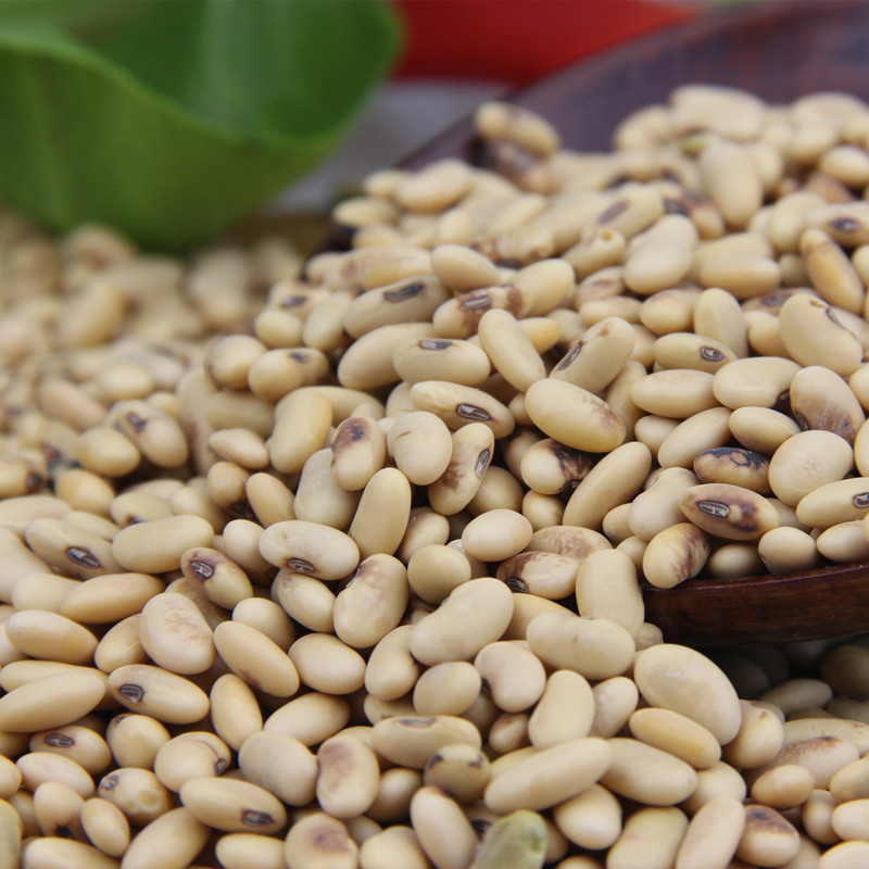 Old Soybean in Northern Shaanxi 500g*5 Rice pudding raw material Soybean Milk Grain Coarse Cereals baking raw material