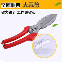 ؛Դ��������� �������ք�ʡ���[���^���Ӵ���������l