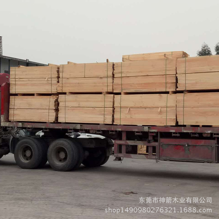 �㶫��ɼ����ľ��  ȥ��ݸ���  ����1000��  ��������