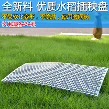 园艺农田机插秧盘水稻育秧盘手抛盘648孔钵体毯式353孔434孔561孔