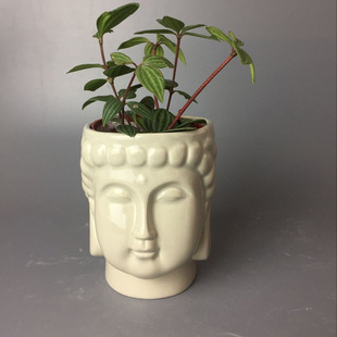 �S���������a �մɻ�����������Է��^���⻨�� �մɹ�ˇƷ��