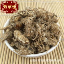 批发供应雄蚕蛾  蚕蛾 天蛾 各种昆虫类