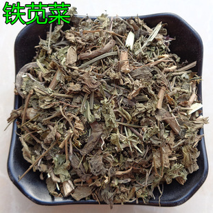 ��ș�� ���� �F�{�� ѪҊ�� �������� �~����� Ѫ�L�� ����ă�
