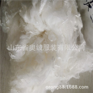 �S�ҹ������w�S ���w�S���w 1.2d*38 2d*51���w�S������� ��z��