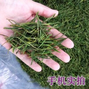 ����b250���²贺����ֱ�N���ڰ������Įa�ظ�ɽ�����ײ�