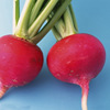 Big red -rich radish seeds Red -skinned cherry carrot, carrot, four seasons potted vegetable seed seed seeds seeds