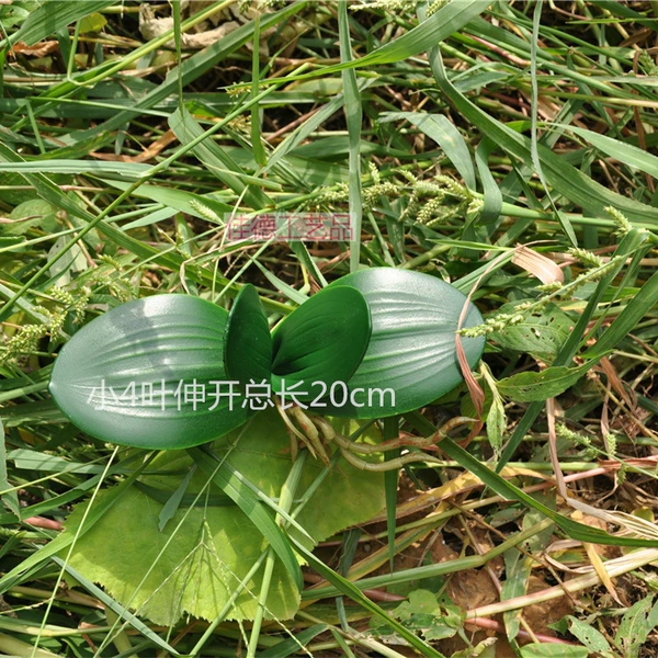 Small 4 leaf