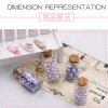 Nail decoration from pearl, tools set, beads, gradient, wholesale