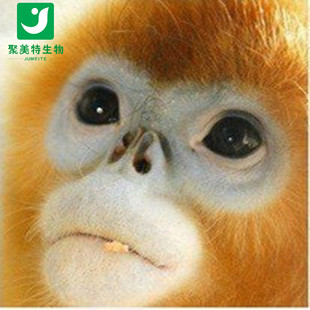 �F؛ֱ��  �һ���ѿ�� ������ ������500g��ӆ