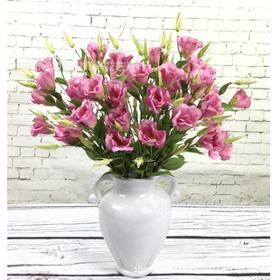 ��֧���^�۹��� ���滨�ٻ��Ҿӻ�c�Ʒ�҃Ȕ[���b�c�zӰ