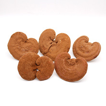 `֥ɢb|Lɽ`֥`֥ ɽ`֥`֥l