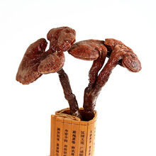 ����Դ���`֥����r�񌣘I���l�`֥�������`֥ș���ݾƃ��|؛Դ