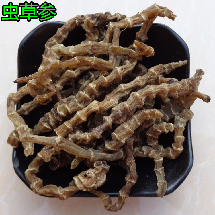 批发供应 虫草参 地参 云南虫草参  地蚕  地草参  地龙菜 地参干
