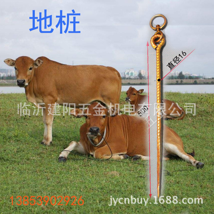 地钉 棚钉 蔬菜大棚配件 帐篷用地钉 牛羊牲畜地桩 牛鼻拴