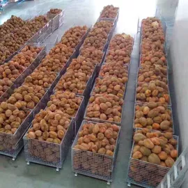 塑胶托盘;仓储笼;塑料箱