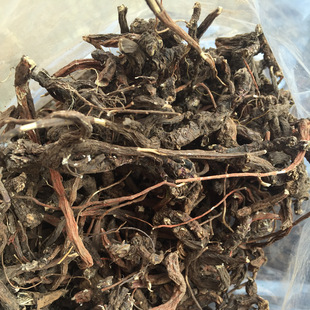 �����ɽ�ϵ��� �t�������l������ ��ĥ����