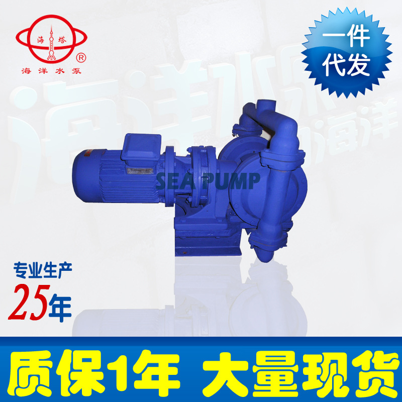 厂家供应 DBY电动隔膜泵 不锈钢工程往复泵