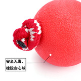 Домашняя игрушка без гниения с твердым красным резиновым мяч