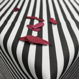 帆布;涤纶面料;亚麻面料