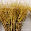 Wheat ears bouquet opening Damai pastoral decorative gift simulation flower