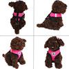 Pet chest strap cats and dog net cloth chest back dog chain cat leading rope -type vest vest traction kit