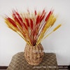 Wheat ears bouquet opening Damai pastoral decorative gift simulation flower