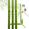 Fish rod Hand Version Gravcience Bamboo Saint 270 to 630 Factory sells physical online stores