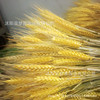 Wheat ears bouquet opening Damai pastoral decorative gift simulation flower