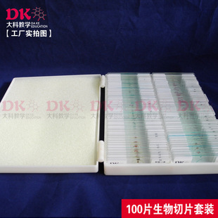 �S��ֱ�N��У�̌W����˱� �M�ߌW��Ƭ�˱� �IѪ��ע����Ƭ