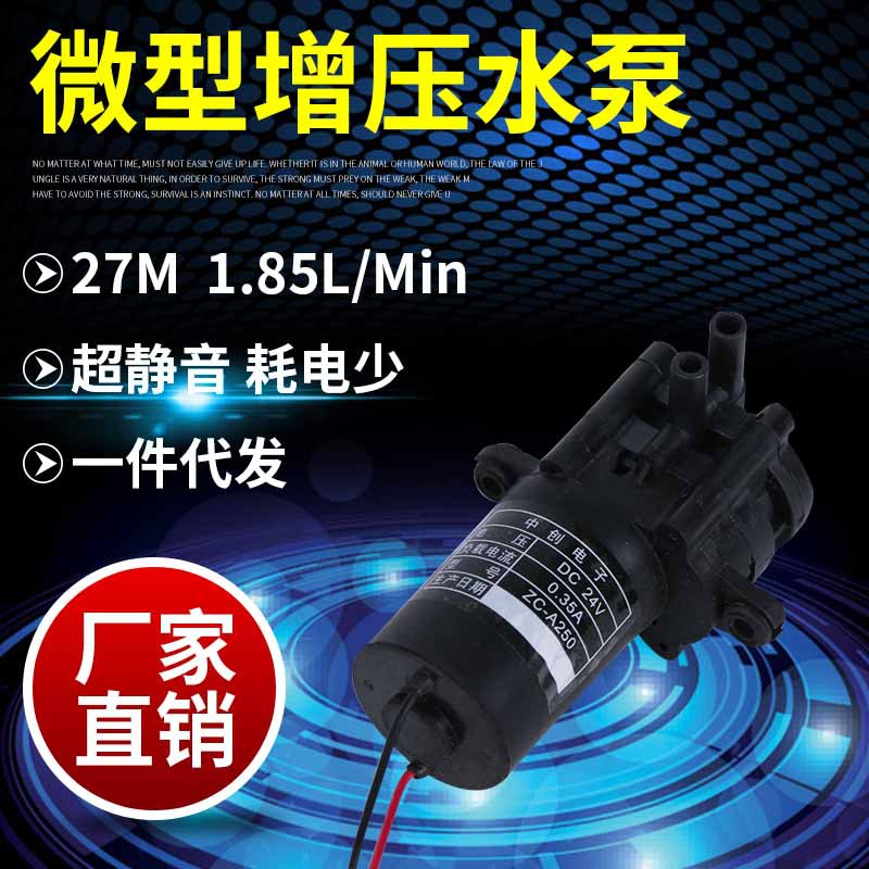 12V微型齿轮泵直流农药喷雾自吸增压泵耐腐塑料水泵食品级水泵