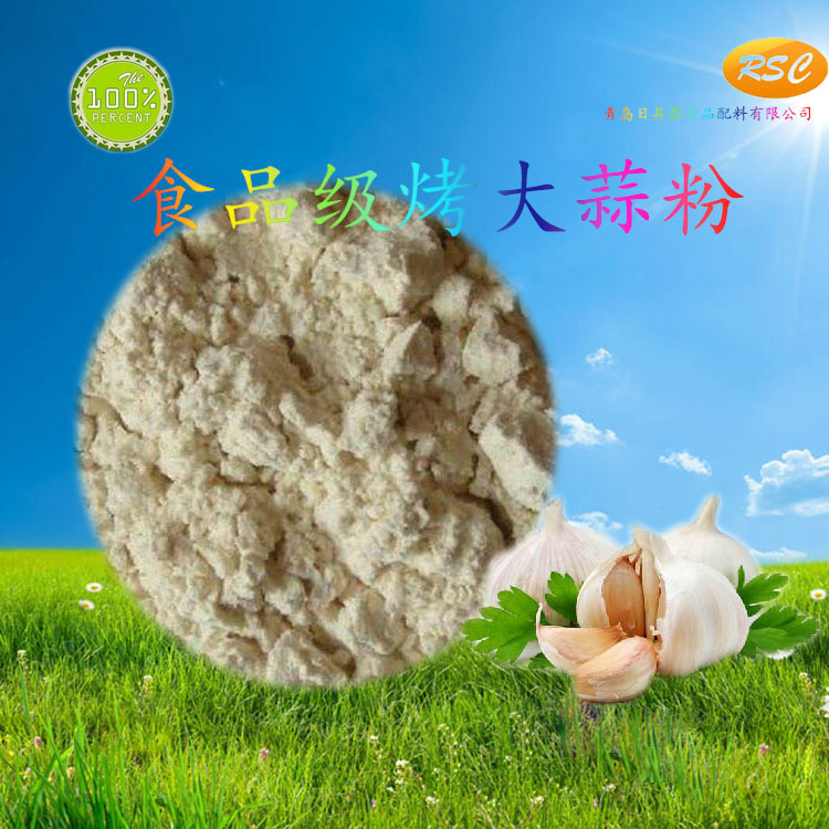 食品级浓香烤大蒜粉 食品级餐饮烧烤调味原辅料烤大蒜粉 增味剂