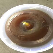 �F؛��������֬��䇻�֬ ��ĥ䇻�֬ �ļ�ʹ�ù��I�S��䇻�֬