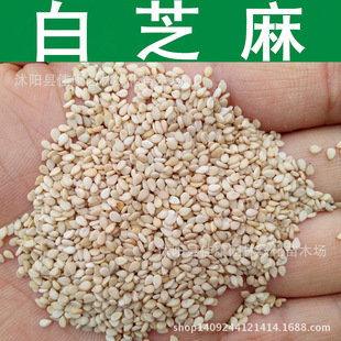 ��֥��N�� ֬�� ����N�� ���� 1��=1��