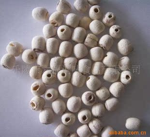 Manufacturers supply quality assurance lotus seeds