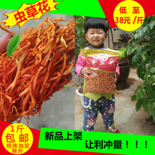 �x�ݻ������^��؛500g Ӽ�x�ݽ��x�ݰ��] ���x��ɢ�b���l