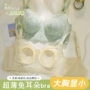 超薄夏季聚拢薄款胸罩