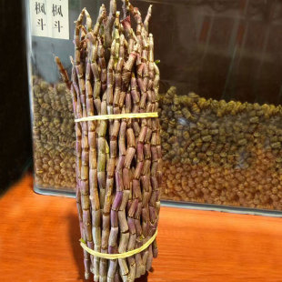 ���r�FƤʯ���r�l ���z�|�FƤ���� ��؛�r�FƤʯ�����l