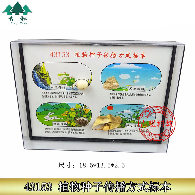 Plant seed transmission method specimen J43153 Primary School biological experiment equipment teaching instrument