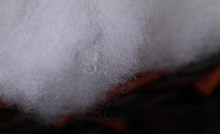 �S�ҵ̓rֱ����q���½z�������ޟo�z�ޏ��Ժø�Ʒ�|