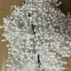Pure white