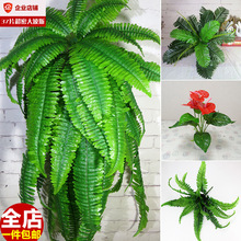 仿真蕨类波斯草植物草坪背景墙装饰配材假花万年青绿萝叶吊兰红掌