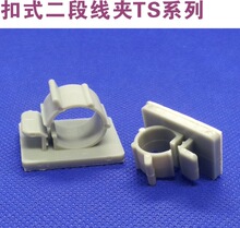 ���{�̶���TS0607