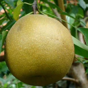 ���ش������ۼ޽�Ʒ�N��������� �Ի��ڷ۳��۸�ϵ�l�_�����