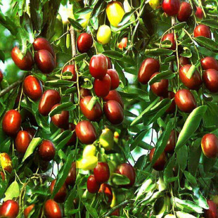 ������ɽ�|���lմ�����������z������޽Ӵ���󗗘�������ă�