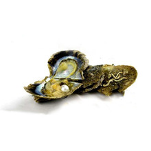 ��ˮ��Сؐ�����������akoya����������͸���㙉��ֱ���_��