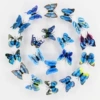 7cm double -layer blue