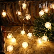 �ɹ�LED�}�Q���ղʟ��Ɍ���Ʒ�����̨���ͥԺ�b���